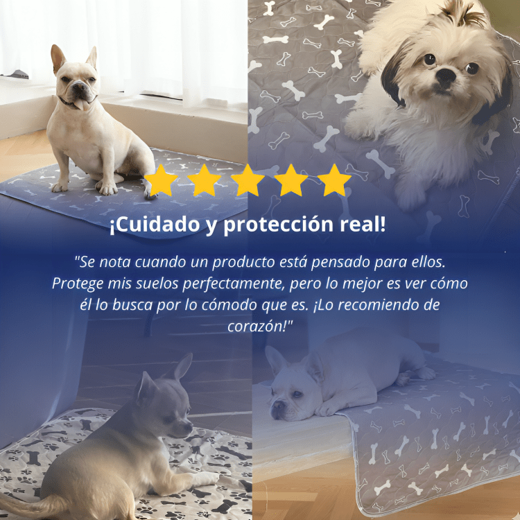 Alfombra con Feromonas para perros