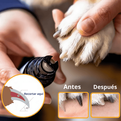 Lima de Uñas-Mascotas