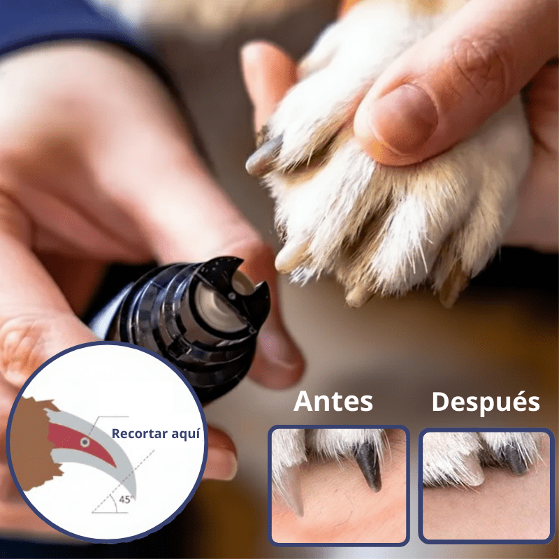 Lima de Uñas-Mascotas