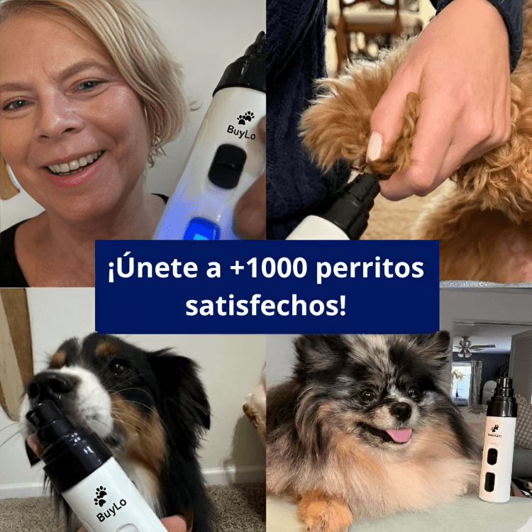 Lima de Uñas-Mascotas