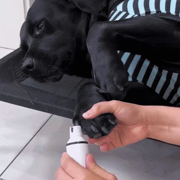 Lima de Uñas-Mascotas