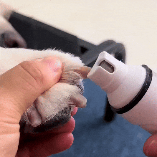 Lima de Uñas-Mascotas